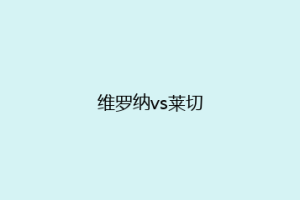 维罗纳vs莱切
