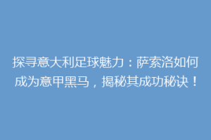 探寻意大利足球魅力：萨索洛如何成为意甲黑马，揭秘其成功秘诀！