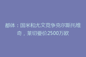 都体：国米和尤文竞争克尔斯托维奇，莱切要价2500万欧