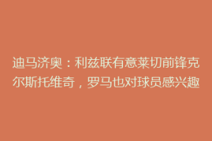 迪马济奥：利兹联有意莱切前锋克尔斯托维奇，罗马也对球员感兴趣