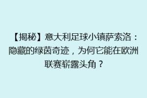 【揭秘】意大利足球小镇萨索洛：隐藏的绿茵奇迹，为何它能在欧洲联赛崭露头角？